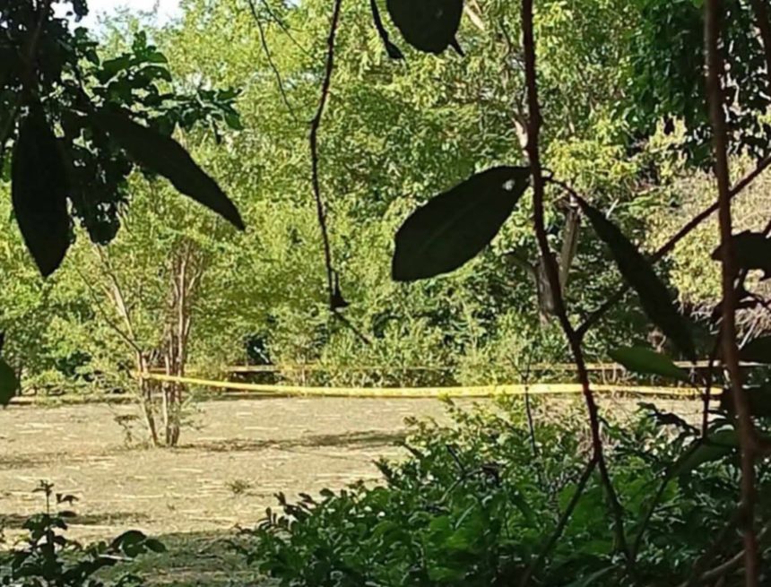 ENCUENTRAN A UN HOMBRE SIN VIDA EN UN ÁRBOL EN SAN PEDRO MASAHUAT