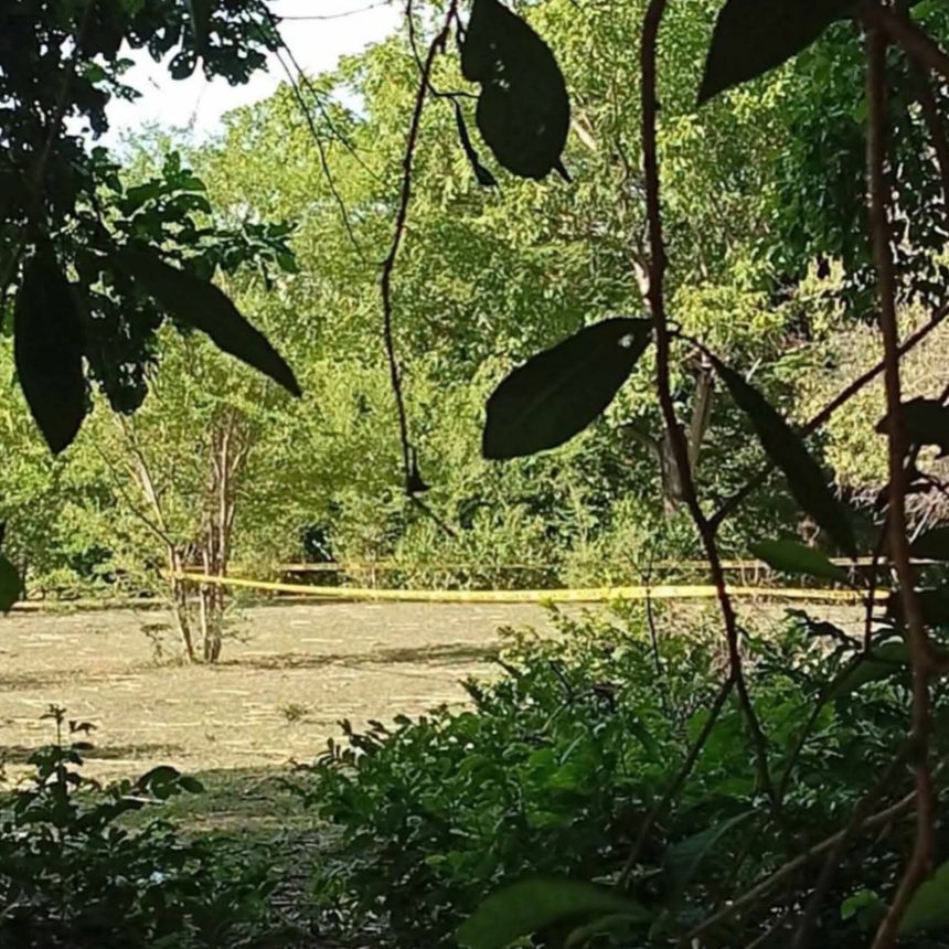 arbol 1 ENCUENTRAN A UN HOMBRE SIN VIDA EN UN ÁRBOL EN SAN PEDRO MASAHUAT