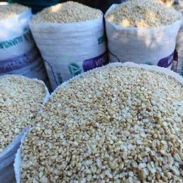 EL MAÍZ BLANCO ALCANZA HASTA $36 EL QUINTAL EN EL SALVADOR