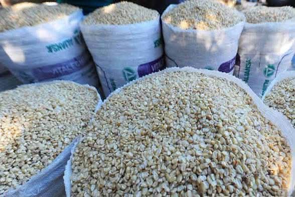 maiz EL MAÍZ BLANCO ALCANZA HASTA $36 EL QUINTAL EN EL SALVADOR