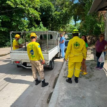 perro 1 PERRO ATACÓ A VARIOS INTEGRANTES DE UNA FAMILIA EN EL ROSARIO, LA PAZ