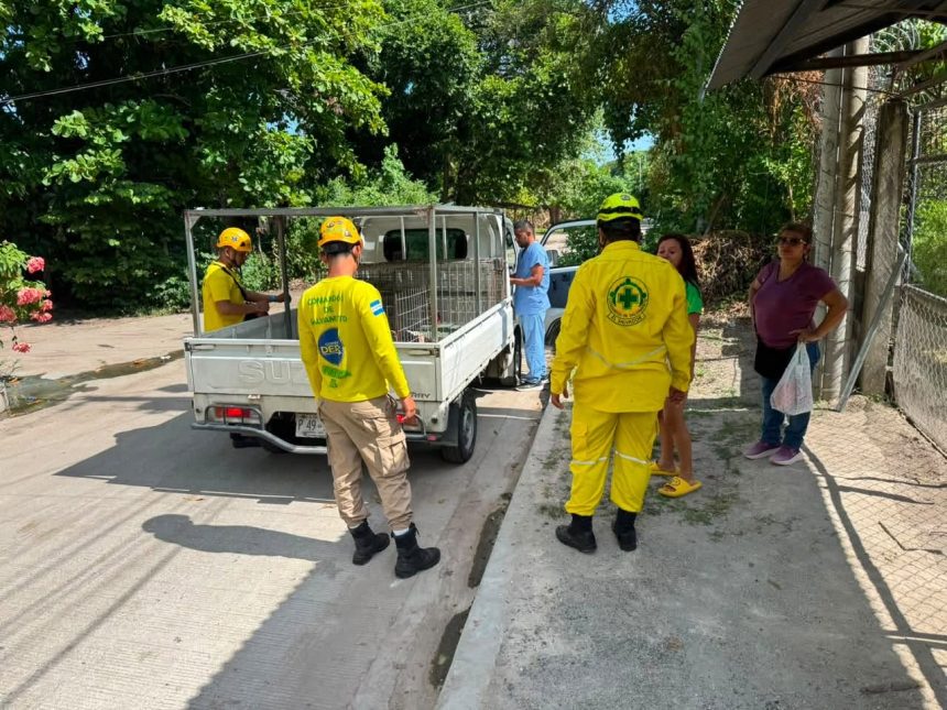 perro 1 PERRO ATACÓ A VARIOS INTEGRANTES DE UNA FAMILIA EN EL ROSARIO, LA PAZ