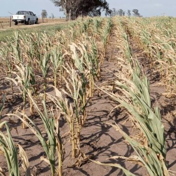 PROTECCIÓN CIVIL EXPLICA LOS ALCANCES DE LA ALERTA ROJA POR SEQUÍA Y DÉFICIT DE LLUVIAS EN EL SALVADOR