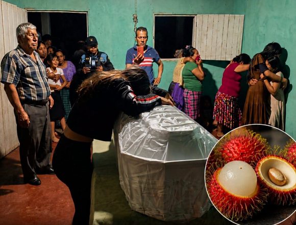 rambutan NIÑO DE DOS AÑOS MUERE TRAS PRESENTAR COMPLICACIONES AL CONSUMIR UNA FRUTA EN GUATEMALA