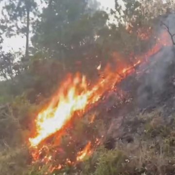 san 1 INCENDIO FORESTAL CONSUME VARIAS MANZANAS DE BOSQUE EN SAN FERNANDO, MORAZÁN