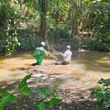 RECUPERAN CUERPO DE ADULTO MAYOR EN UNA QUEBRADA DE DIFÍCIL ACCESO EN SANTA ANA