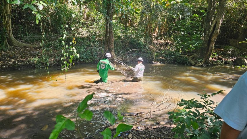 seño 2 RECUPERAN CUERPO DE ADULTO MAYOR EN UNA QUEBRADA DE DIFÍCIL ACCESO EN SANTA ANA