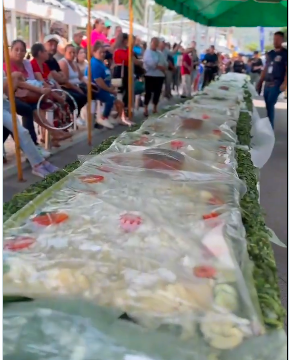 CHALCHUAPA BUSCA ENTRAR A LOS GUINNESS WORLD RECORDS CON UNA YUCA DE 20 METROS