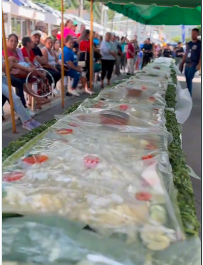 yuca guines 3 CHALCHUAPA BUSCA ENTRAR A LOS GUINNESS WORLD RECORDS CON UNA YUCA DE 20 METROS