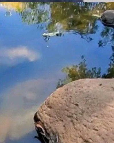 ANCIANO 2 ADULTO MAYOR FUE ENCONTRADO SIN VIDA EN UNA POZA EN ACAJUTLA,SONSONATE
