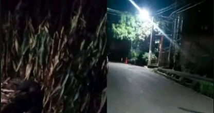 SONSO 1 REPORTAN CUATRO PERSONAS FALLECIDAS POR DIVERSAS CAUSAS EN DISTINTOS PUNTOS DE SONSONATE