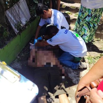 arbol 1 HOMBRE RESULTA LESIONADO TRAS CAER DE UN ÁRBOL EN POPOTLÁN 2