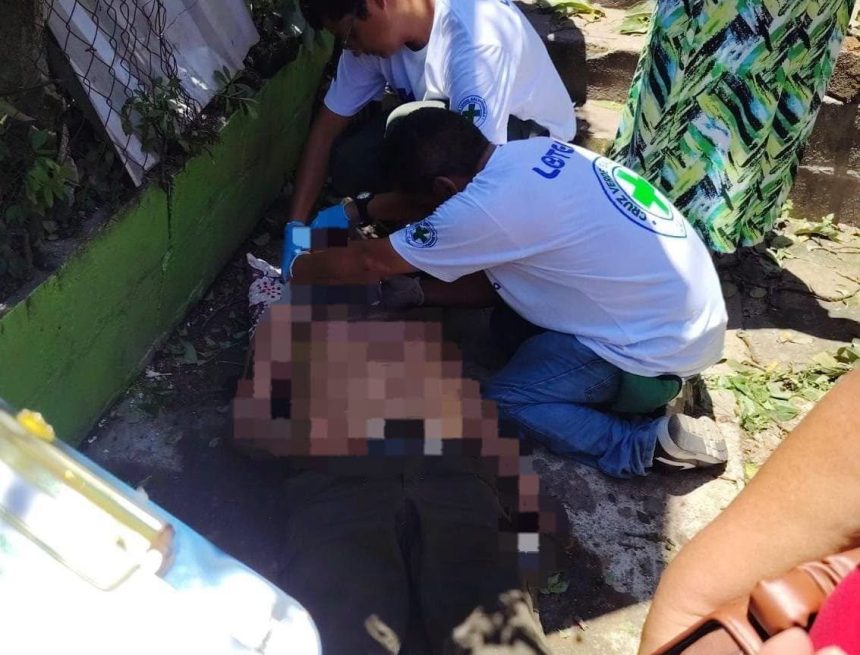 arbol 1 HOMBRE RESULTA LESIONADO TRAS CAER DE UN ÁRBOL EN POPOTLÁN 2
