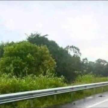 RAYO IMPACTA A MUJER QUE VIAJABA EN MOTOCICLETA Y LE CAUSA LA MUERTE EN GUATEMALA