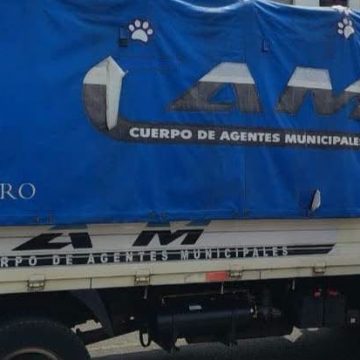 cam 1 ALCALDE DE SANTA ANA CENTRO INFORMA SOBRE INVESTIGACIÓN POR ABANDONO DE CUATRO GATITOS