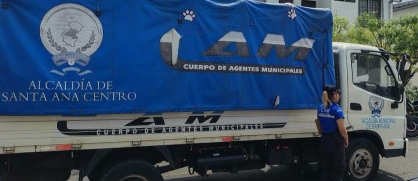 ALCALDE DE SANTA ANA CENTRO INFORMA SOBRE INVESTIGACIÓN POR ABANDONO DE CUATRO GATITOS