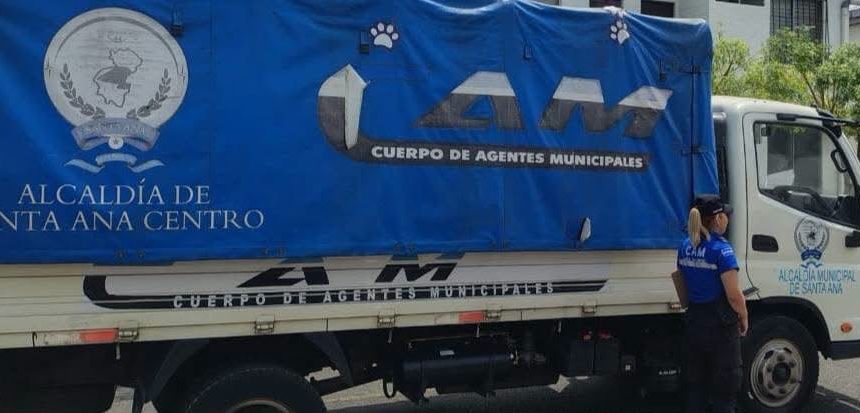 cam 1 ALCALDE DE SANTA ANA CENTRO INFORMA SOBRE INVESTIGACIÓN POR ABANDONO DE CUATRO GATITOS