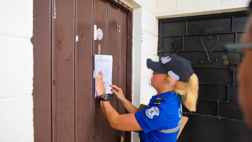 gatos 3 EMPLAZAN A PRESUNTA RESPONSABLE DEL ABANDONO DE CUATRO GATITOS EN SANTA ANA