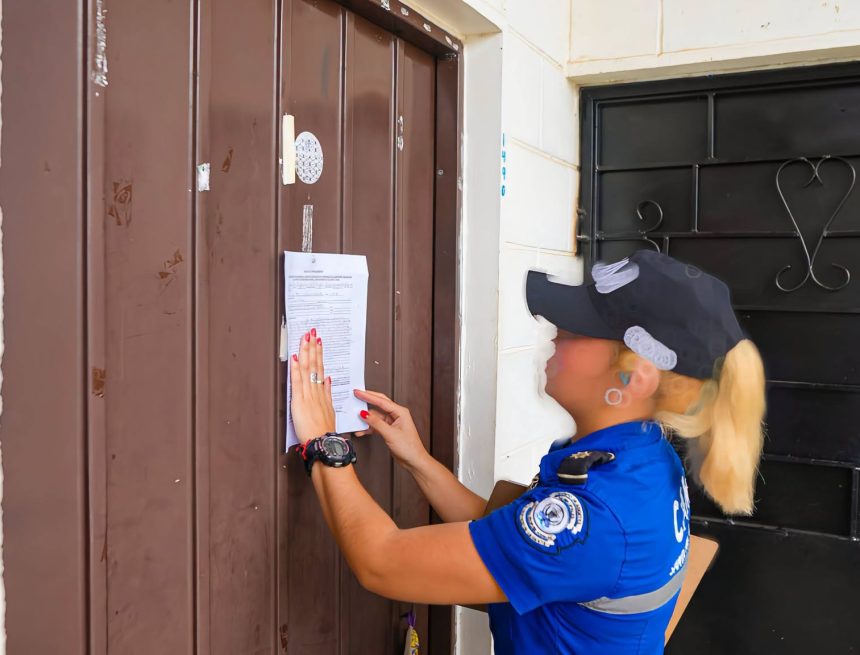 EMPLAZAN A PRESUNTA RESPONSABLE DEL ABANDONO DE CUATRO GATITOS EN SANTA ANA