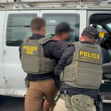 ice MÁS DE 29,000 AGENTES LOCALES Y ESTATALES PARTICIPAN EN PROGRAMA MIGRATORIO DE ICE